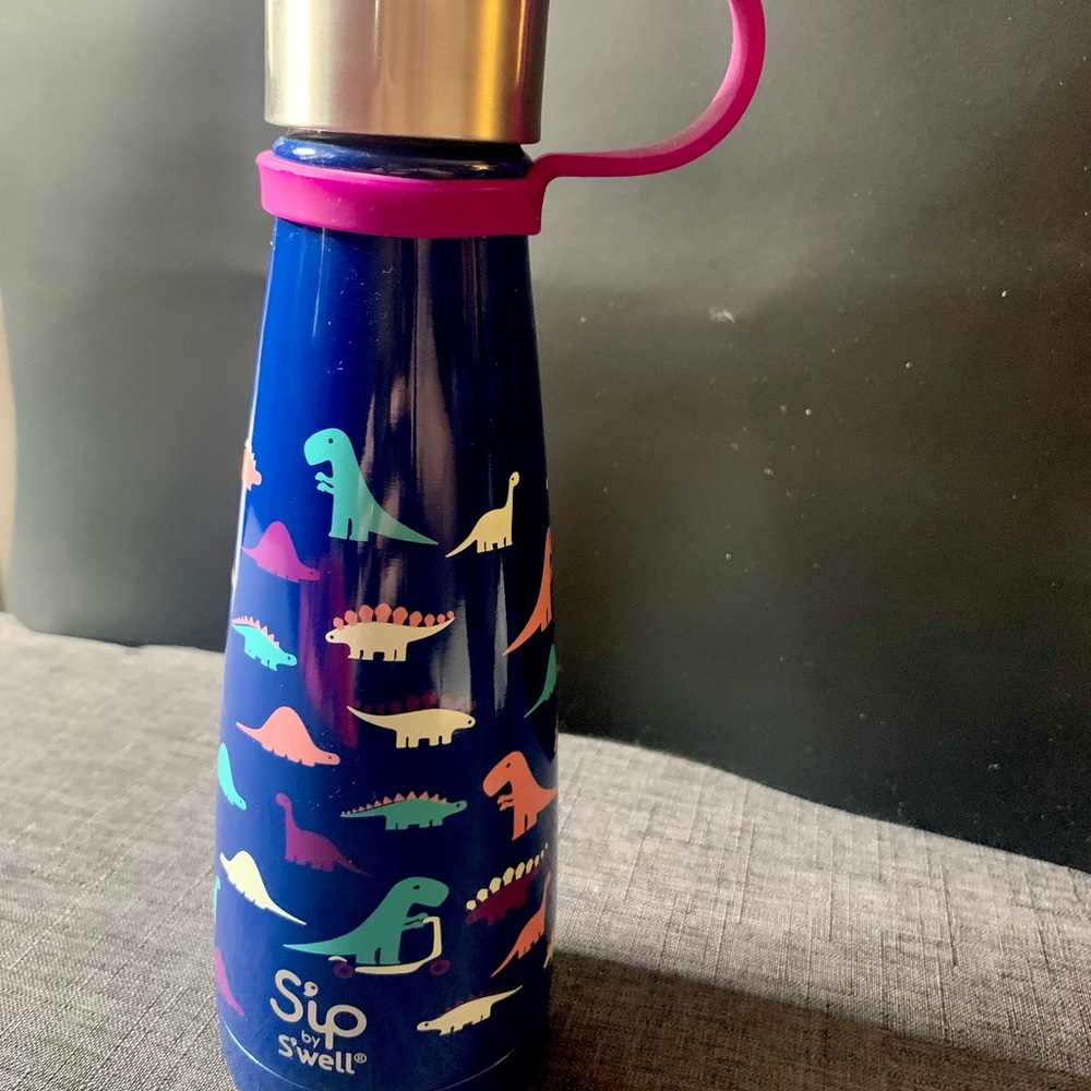 10oz Dino swell water bottle